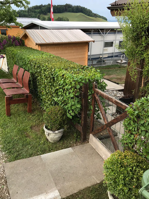 Gartenhaus-Gartenumgestaltung-3_Buerki-Garten-Bau