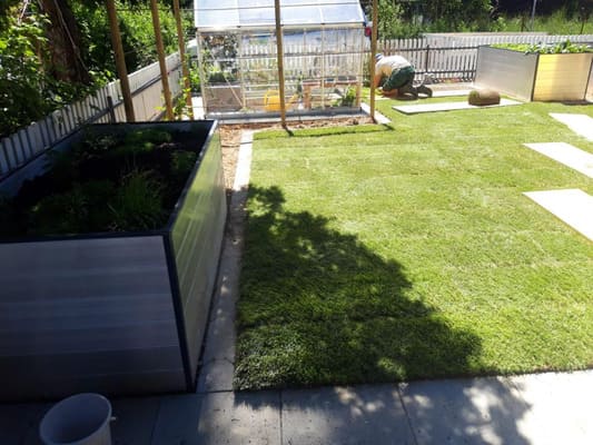 Rollrasen-3_Buerki-Garten-Bau