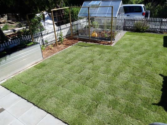 Rollrasen-4_Buerki-Garten-Bau