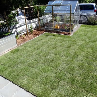 Rollrasen-6_Buerki-Garten-Bau