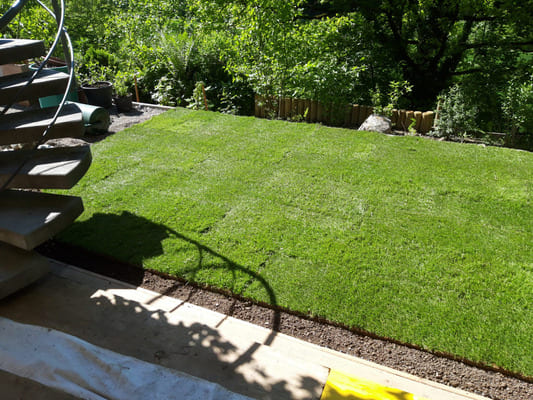 Rollrasen-7_Buerki-Garten-Bau