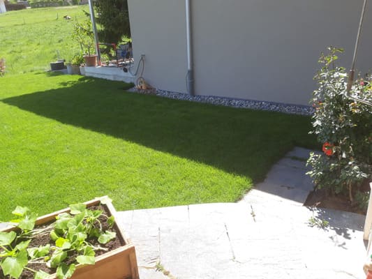 Rollrasen-8_Buerki-Garten-Bau