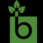 Bürki Garten + Bau GmbH